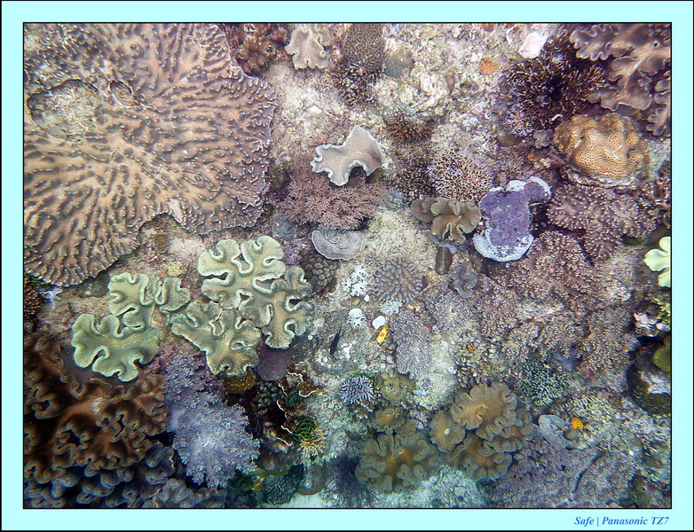 2012 - 07 - Boracay plongee - 01